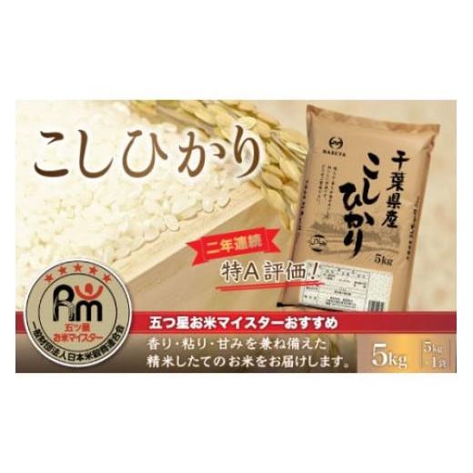 ふるさと納税 千葉県 大網白里市 令和5年産 2年連続特A評価!千葉県産コシヒカリ5kg（5kg×1袋） ふるさと納税 米 5kg 千葉県産 大網白里 コシヒカリ …