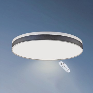 74W 遙控吸頂燈 B102-13-64273