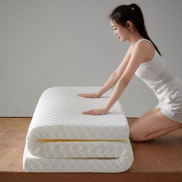 2025新款零壓記憶棉針織棉提花床墊暗黑風支持一件代發供直播