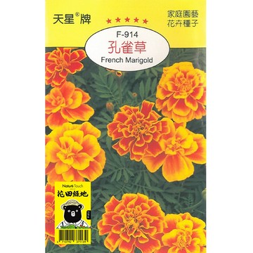 花田綠地種子-孔雀草