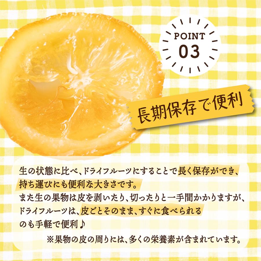 ドライフルーツ 愛媛県産 糖漬け レモン 100g 送料無料 国産 ドライレモン れもん 檸檬 お試し