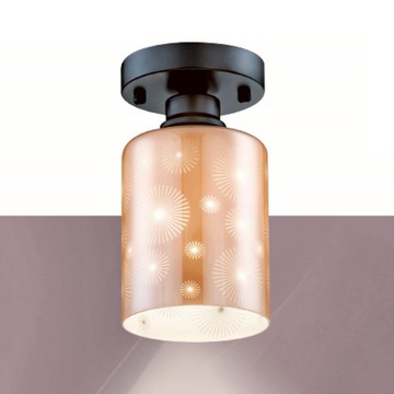 E27 玻璃單吸頂燈 B20-13-64862