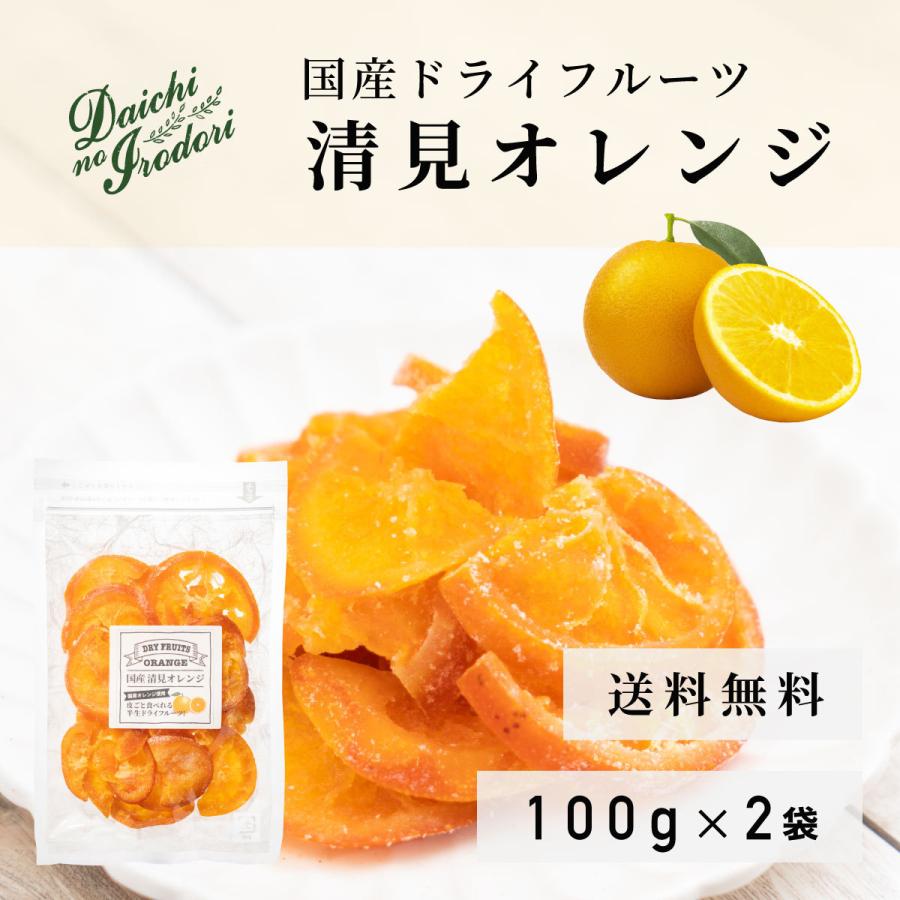 博屋 ドライフルーツ ドライ 国産 果実 送料無料 清見オレンジ 100g x 2袋 チャック袋入り