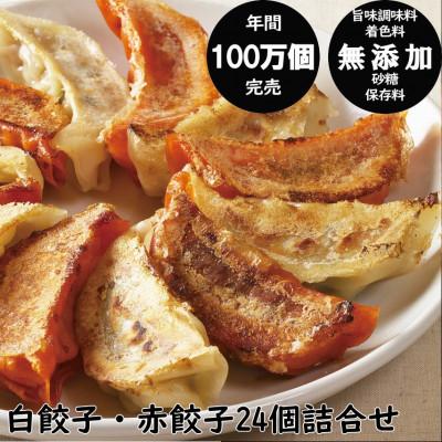 ふるさと納税 秋田市 年間100万個完売!餃子の餃天の