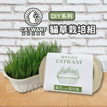 貓咪旺農場｜小麥草栽培組 DIY種植 發芽率高達95% 貓草 小麥草種子