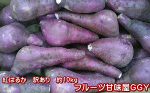 紅はるか　蔵出し　訳あり　箱込10キロ（9ｋｇ 保証分500ｇ）さつまいも　蜜芋　熊本産　サイズ　大・中・小グルメ