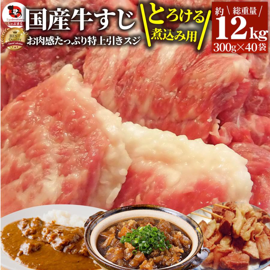 牛肉 肉 お肉屋さんの 国産 牛スジ 牛 生 すじ 煮込み用 スジ たっぷり 12kg 訳あり お取り寄せ