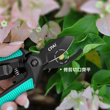 實用園藝工具 園藝專用剪 花枝剪 插花剪刀 園藝植作工具 枝條修剪 修剪樹枝剪刀 花園園藝剪刀 高品質園藝剪刀 田螺精選