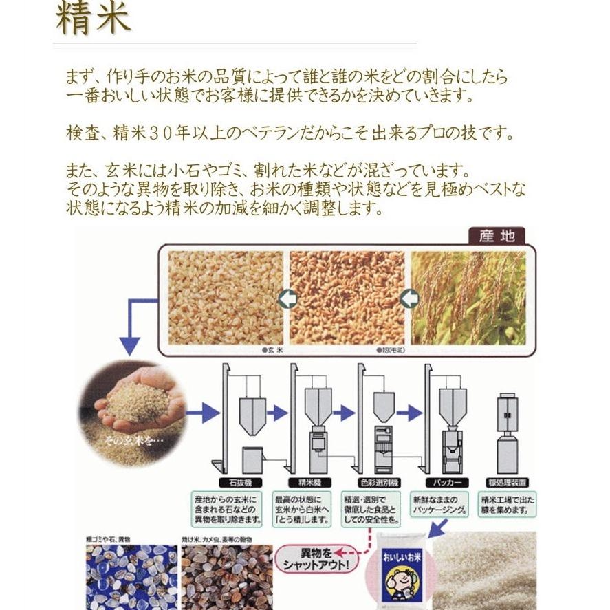 お米　新潟県産コシヒカリ 5kg　精白米　令和2年産　贈答用　熨斗　瓢米