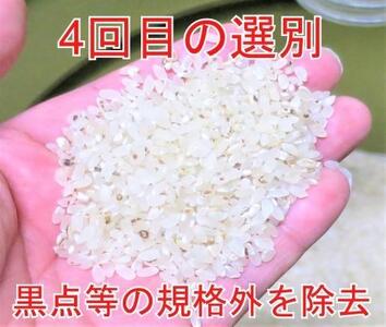 15kg（5kg×3）大手有名百貨店出荷米 あきたこまち 令和5年産米