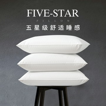 枕頭不塌陷不變形一對裝枕芯夏季護頸椎助睡眠酒店專用單雙人枕男