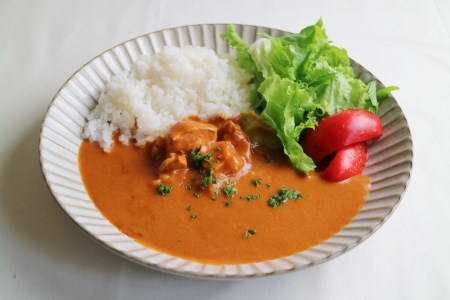 阿波尾鶏 バターチキンカレー 10人前 180g×10パック 国産 鶏肉 地鶏 あわおどり むね肉 カレー