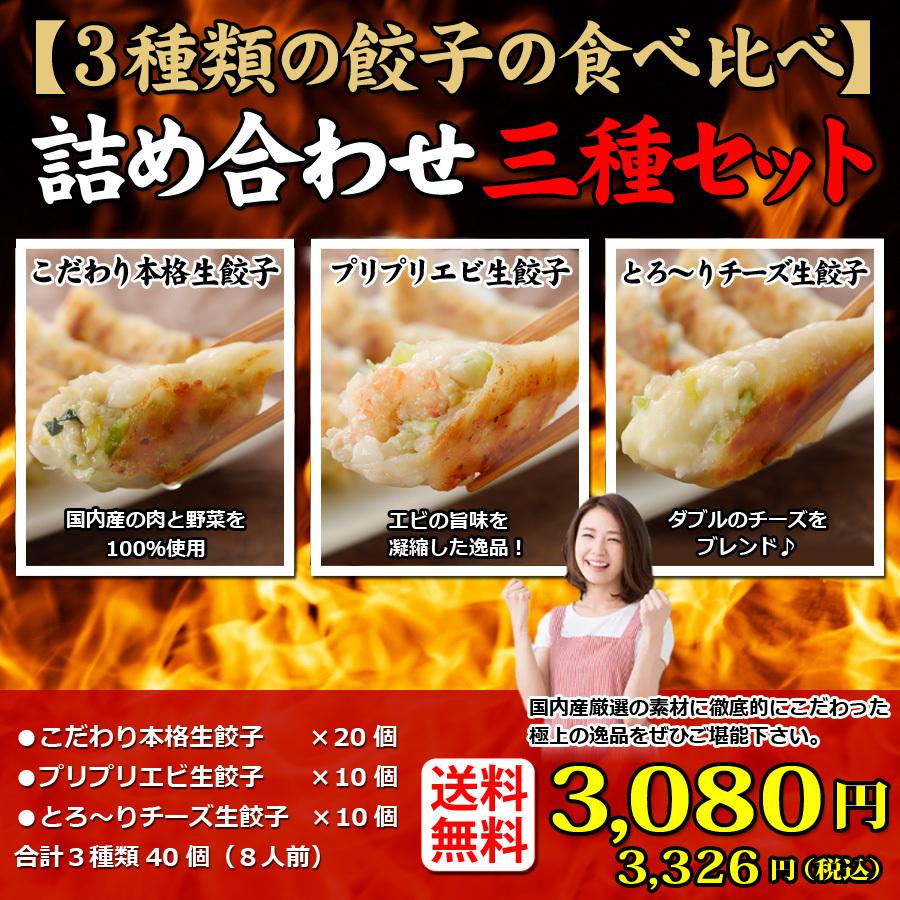 送料無料  (３種類４０個入り) 8人前 詰め合わせ 冷凍餃子  生餃子 餃子 ぎょうざ ギョーザ ギョウザ 冷凍生餃子 お取り寄せ セット 冷凍食品 グルメ