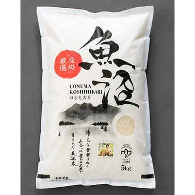 ふるさと納税 魚沼市 「米食味鑑定士　厳選」魚沼産コシヒカリ5kg全12回