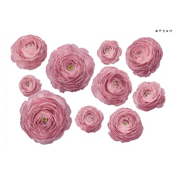 【10月新品4】20-22-0068 裁切紙・拼貼素材 毛茛屬