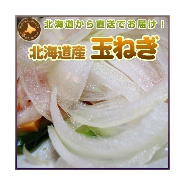 玉ねぎ 4kg L 北海道 たまねぎ 野菜 北海道産 お礼 御祝 お取り寄せ 産直 内祝 玉葱