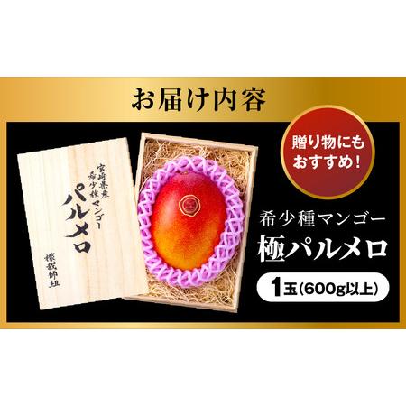 ふるさと納税 宮崎県産 希少種マンゴー (極)パルメロ 600g以上 糖度20度以上 1玉入り 2024年発送 期間限定 数量限定（マンゴー 宮崎マンゴー 完.. 宮崎県宮崎市