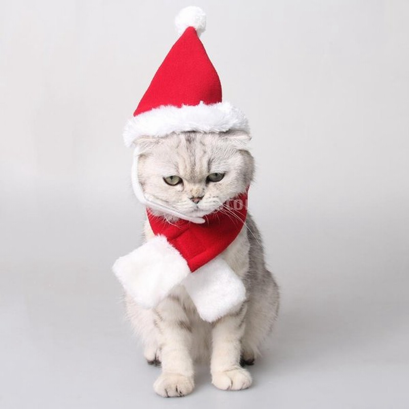 全３サイズ 調節可能 ペット 犬 猫 クリスマスサンタ 帽子 スカーフ クリスマス 衣装 ドレス ハロウィーン M 通販 Lineポイント最大0 5 Get Lineショッピング