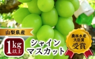 山梨県産シャインマスカット　2房　1kg以上　※2024年9月から発送