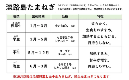 ほんまもん淡路島野菜BOX（大）2023年10月以降出荷