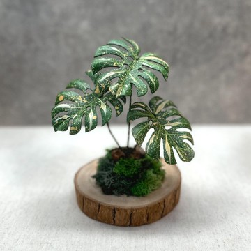 泰斑龜背芋－手工革製植物  地植系列