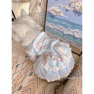 寵物女仆裝蕾絲花邊薄款短款貓咪衣服狗狗衣服連衣裙馬爾濟斯博美