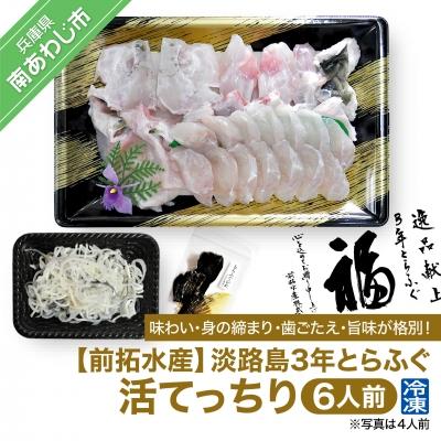 ふるさと納税 南あわじ市 淡路島3年とらふぐ(活てっちり6人前)冷凍◆配送10月8日〜3月31日