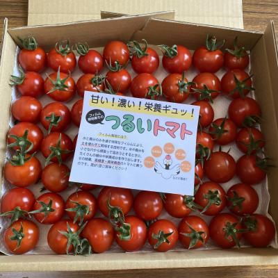 ふるさと納税 鶴居村 つるいトマト ミニトマト1kg   鶴居村の工務店が作りました!