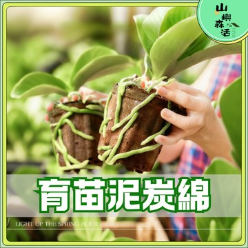【現貨🌳隔日到貨】泥炭綿 育苗海綿 無土栽培 育苗基質 水耕水培海綿 裝育苗水培種植基質 水耕水培海綿 炭棉 園藝用品