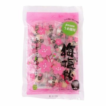 富士屋製果【梅子鹽味糖】90g