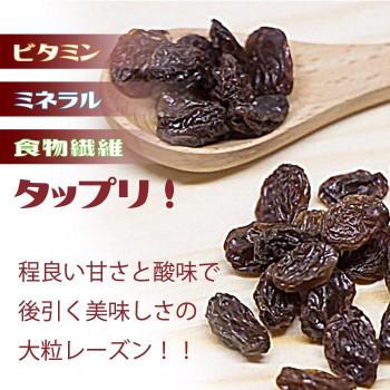 巨峰の郷大粒レーズン 300g×20袋 （送料無料） 直送