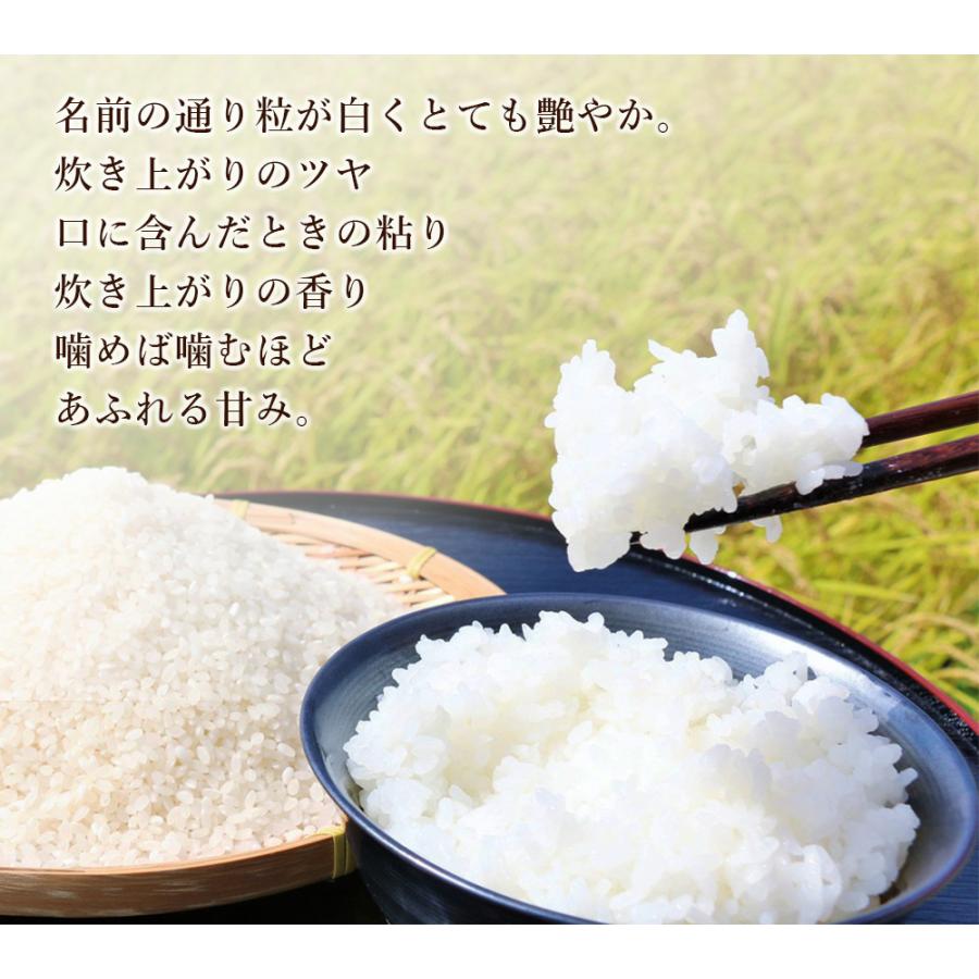 新米 令和5年産 つや姫 5kg 精白米 安い ブランド米 米 2023年産