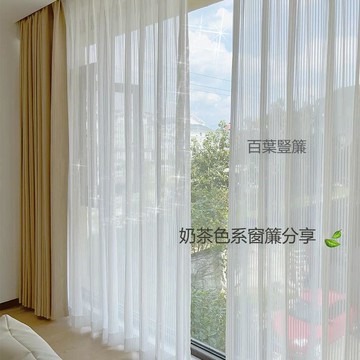 【台灣公司 可打統編】網紅透光紗簾不透人條紋百葉紗窗紗窗簾客廳陽臺白紗飄窗臥室定制 y8181
