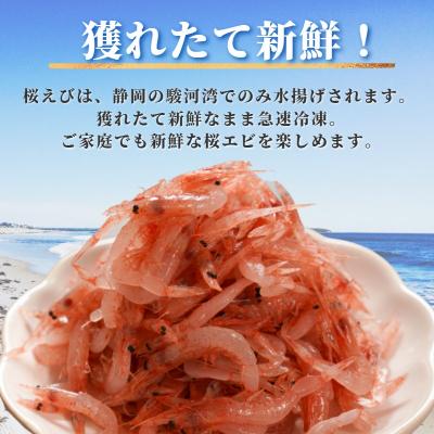 ふるさと納税 焼津市 焼津特選 生桜えび100g×3(a10-679)