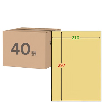 鶴屋 A4金色特多龍貼紙 LG210297 297 x 210mm  40張  1格