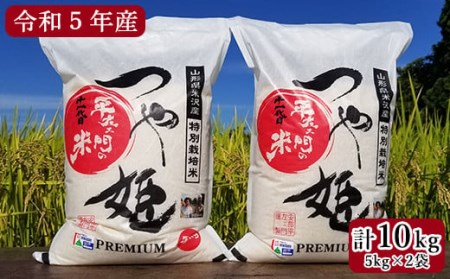  特別栽培米 つや姫 計10kg 5kg×2袋 2023年産 産地直送 農家直送 ブランド米 [061R5-009]