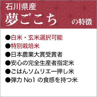 新米 令和5年(2023年)産 石川県産 夢ごこち 2kg (白米・玄米)