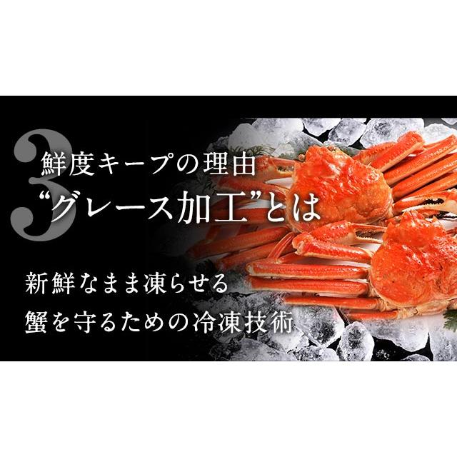 かに 蟹 ズワイガニ 脚 3.0kg 10肩前後 送料無料 ギフト お取り寄せグルメ 海鮮 ズワイ蟹 かに脚 蟹脚 ボイル