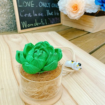 多肉肉療癒系-大