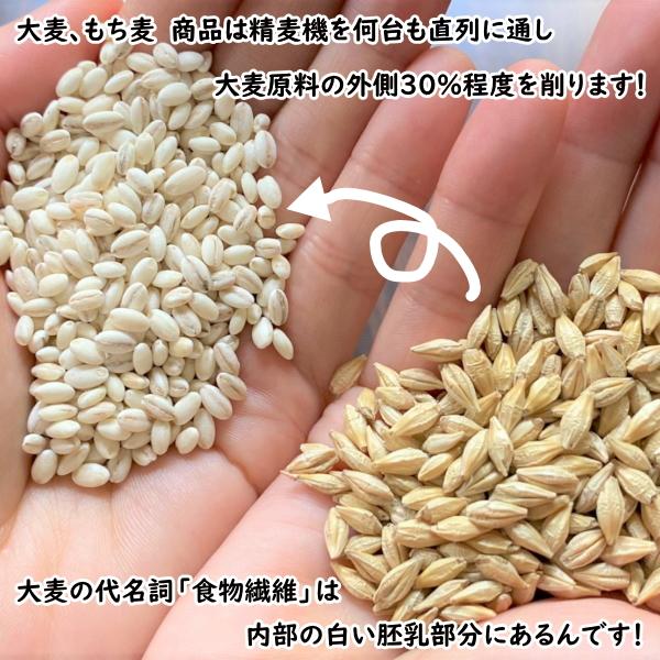 国産 ビタ白麦 800g 6入り 健康 腸活 免疫 ダイエット  食物繊維 米と炊飯 スープ）麦飯 麦ご飯 麦 大麦ご飯 ビタ白麦800g 6袋 家康 お得 セット