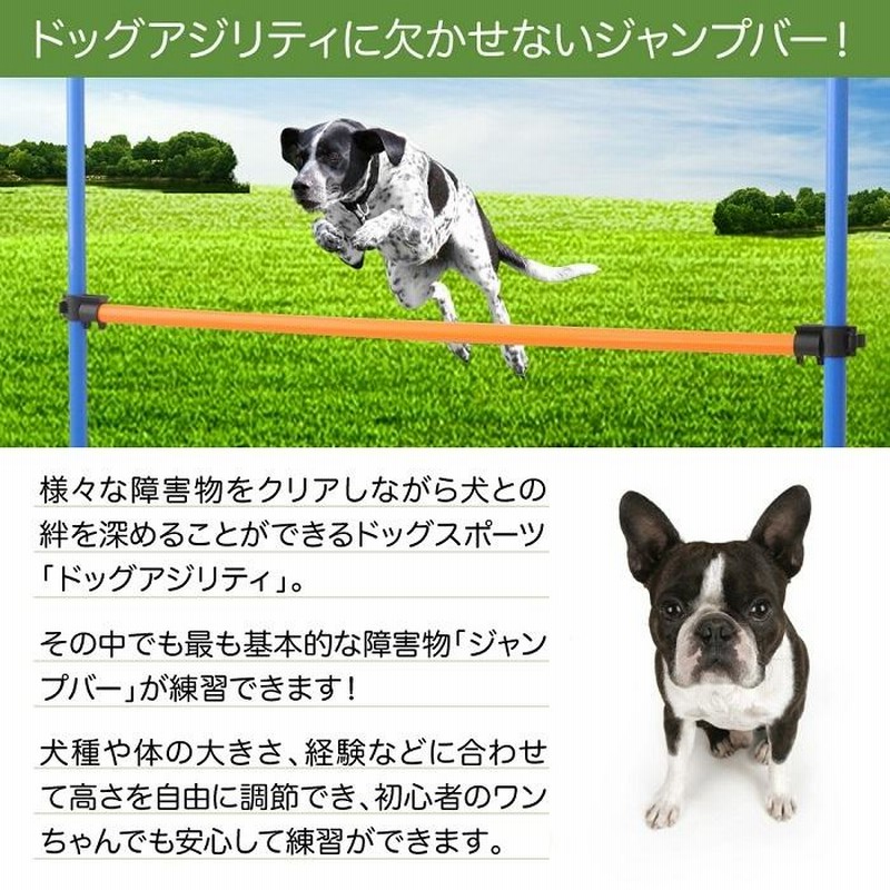 アジリティ　犬　レギュレーター Amazon | TRIXIE 犬用アジリティ アジリティハードル サイズ123