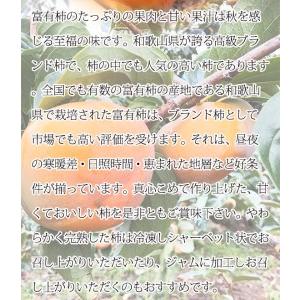 ふるさと納税 和歌山秋の味覚　富有柿　約7.5kg 　※2024年11月上旬〜11月下旬頃に順次発送予定 和歌山県美浜町