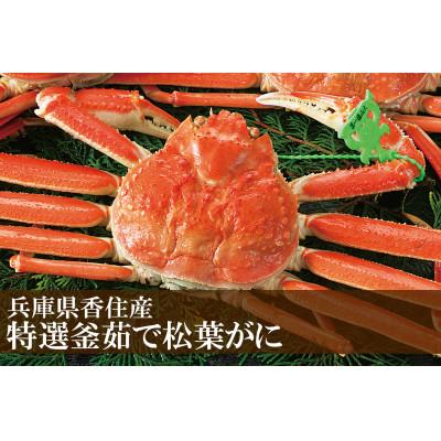 ふるさと納税 香美町 松葉がに 釜茹で 特選 冷凍 兵庫県香住産 約900g〜1kg×1匹