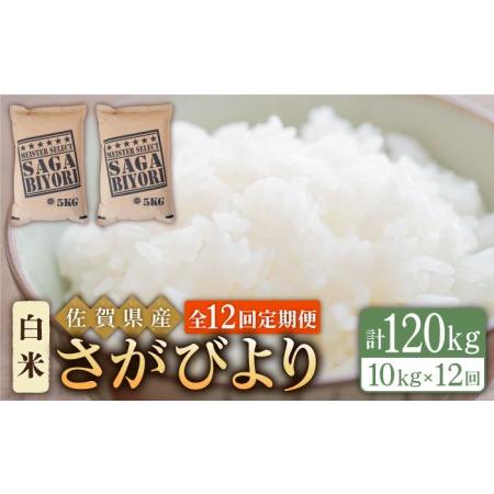 ふるさと納税 さがびより 白米 10kg（5kg×2袋）特A評価 特A 特A米 米 定期便 お米 佐賀 [HBL.. 佐賀県江北町