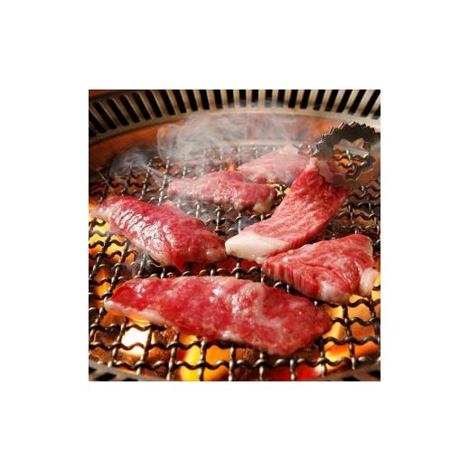 ふるさと納税 兵庫県 神戸市 神戸牛 焼肉セット800g （カルビ＆ロース）