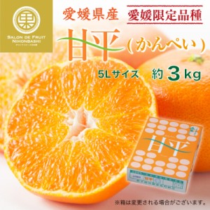 [予約 1月10日-2月28日の納品]     甘平 約3kg 5L 愛媛県産 化粧箱 みかん 高糖度 上級品