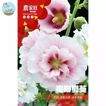 【原廠包裝】蜀葵種子(Hollyhock)2克裝 一丈紅種子 花海植栽 庭院圍籬 多年生花卉 易種植 四季可播 陽台盆栽