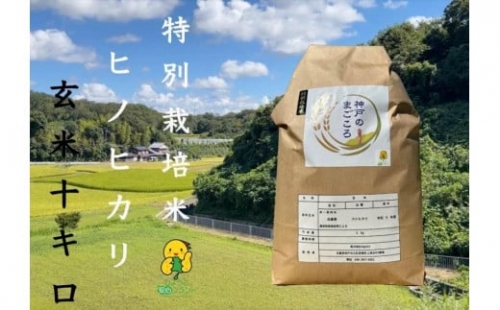 特別栽培米　神戸のまごころ　ヒノヒカリ 玄米　10kg（5kg×2袋）