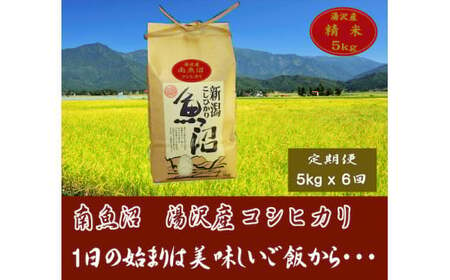 令和5年産 湯沢産コシヒカリ＜精米＞（白米）5kg 精米したてのお米をお届け