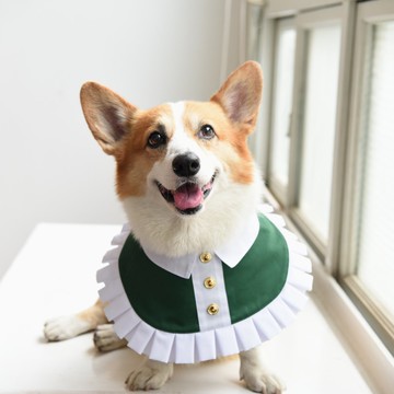 【Outlet絕版品】寵物洋裝領巾-伊麗莎白領-愛爾蘭綠
